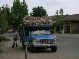 PICT7202 cesneku neni nikdy dost.jpg